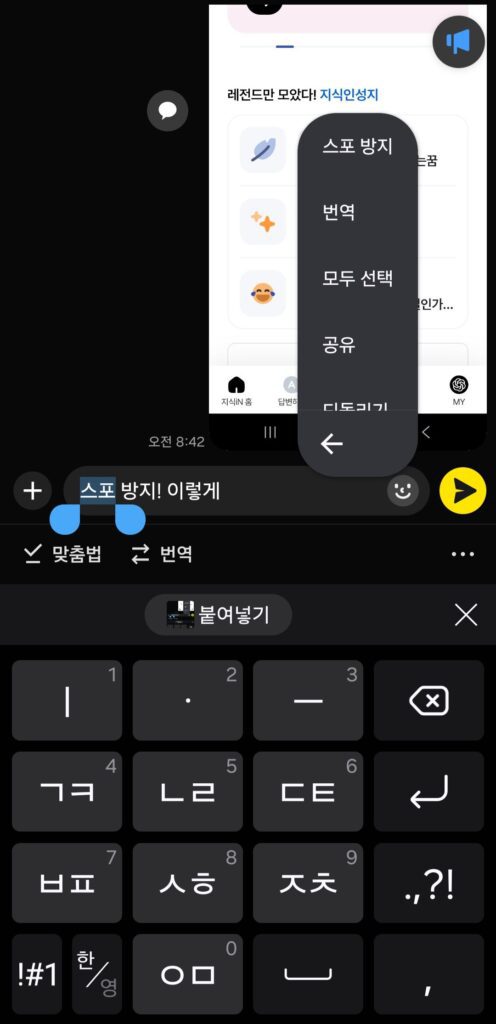 카카오톡 스포방지 설정 방법 공지사항 | 수입차 프로모션 할인